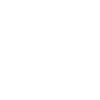 Fly Airworthy